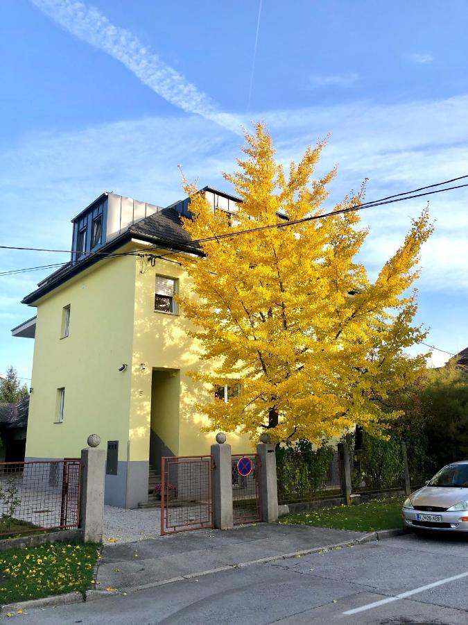 Apartment Soska 5 *
